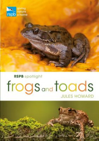 Kniha RSPB Spotlight Frogs and Toads Jules Howard