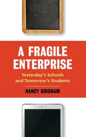 Knjiga Fragile Enterprise Nancy Brigham