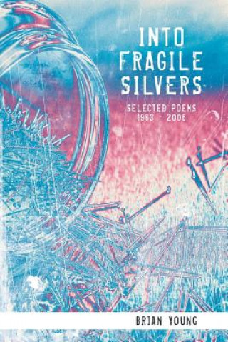 Βιβλίο Into Fragile Silvers BRIAN YOUNG