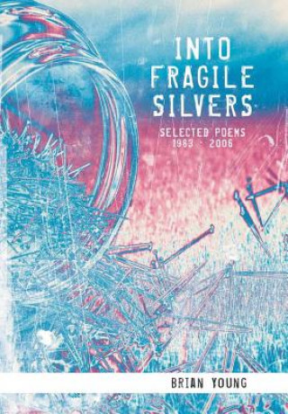 Βιβλίο Into Fragile Silvers BRIAN YOUNG