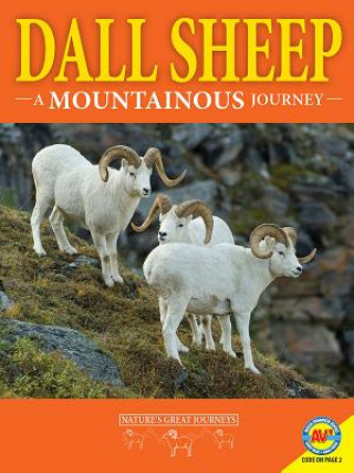 Carte Dall Sheep: A Mountainous Journey Rebecca Hirsch