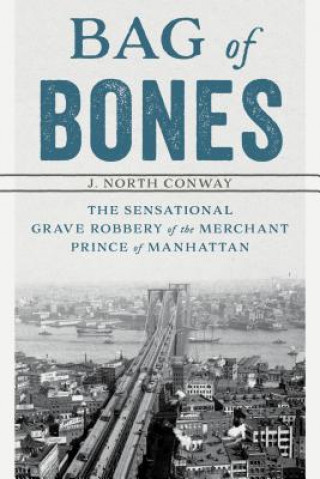 Buch Bag of Bones J. North Conway