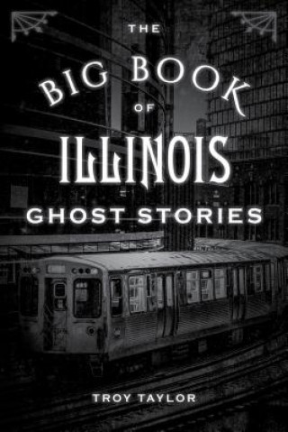 Könyv Big Book of Illinois Ghost Stories Troy Taylor