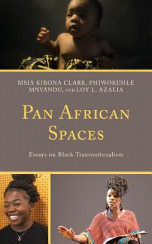 Kniha Pan African Spaces Msia Kibona Clark