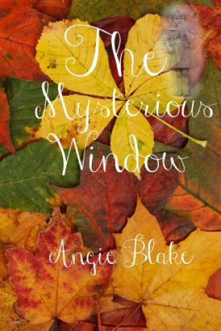 Könyv The Mysterious Window Angie Blake