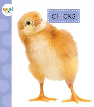 Livre Chicks Anastasia Suen