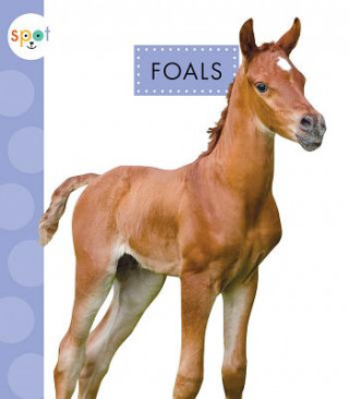 Carte Foals Anastasia Suen