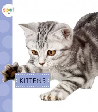 Carte Kittens Anastasia Suen