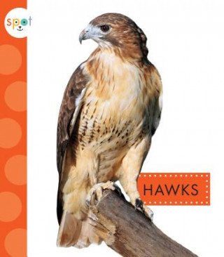 Kniha Hawks Mari C Schuh
