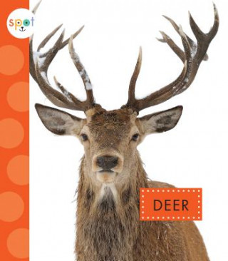 Carte Deer Mari C Schuh