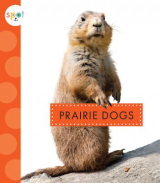 Buch Prairie Dogs Mari C Schuh