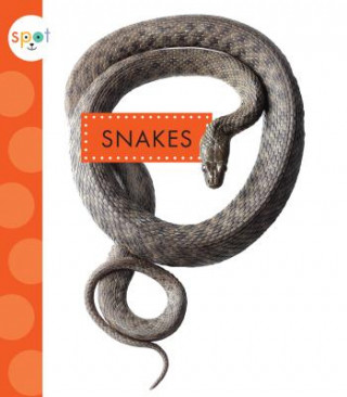 Carte Snakes Mari C Schuh