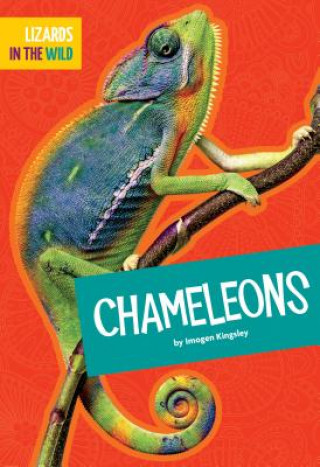 Carte Chameleons Imogen Kingsley