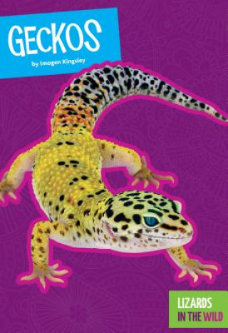 Kniha Geckos Imogen Kingsley