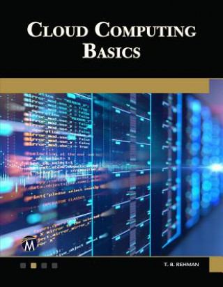 Knjiga Cloud Computing Basics T B Rehman