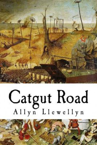 Książka Catgut Road Allyn Llewellyn