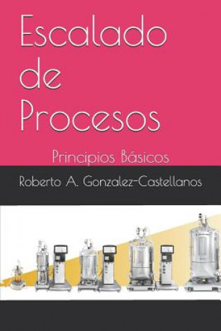 Könyv Escalado de Procesos: Principios Básicos Roberto a Gonzalez-Castellanos