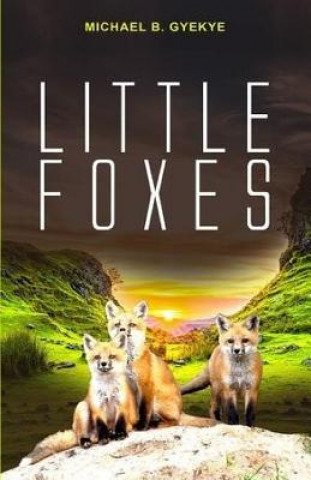 Buch Little Foxes Michael B Gyekye