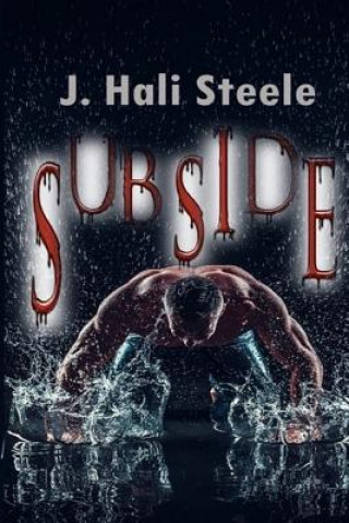 Knjiga Subside J Hali Steele