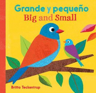 Kniha Big and Small / Grande Y Peque?o Britta Teckentrup
