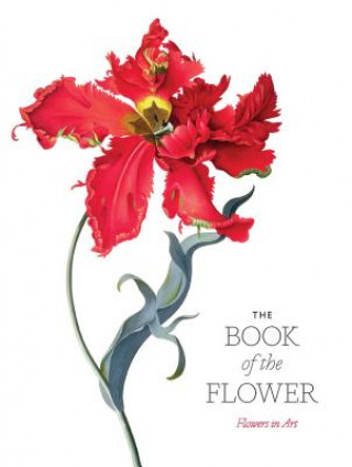 Kniha Book of the Flower Angus Hyland