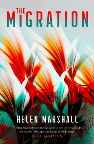 Kniha Migration Helen Marshall