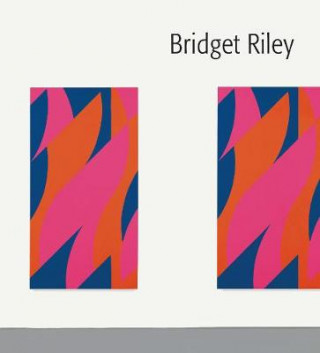 Könyv Bridget Riley Lucy Askew