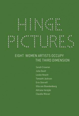Knjiga Hinge Pictures Andrea Andersson