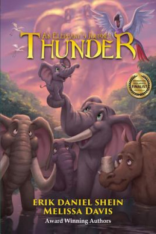 Könyv Thunder ERIK DANIEL SHEIN