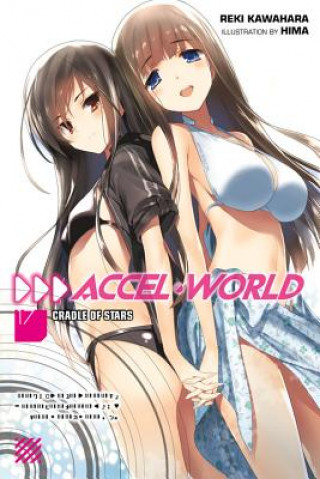 Kniha Accel World, Vol. 17 (light novel) Reki Kawahara