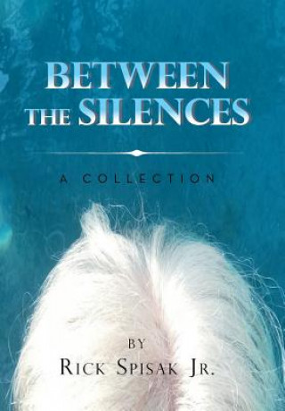 Libro Between the Silences Rick Spisak Jr.