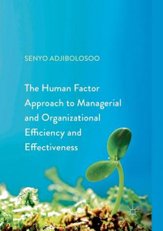 Kniha Human Factor Approach to Managerial and Organizational Efficiency and Effectiveness Senyo Adjibolosoo