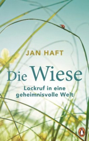 Kniha Die Wiese Jan Haft