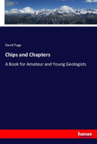 Kniha Chips and Chapters David Page