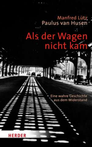 Book Als der Wagen nicht kam Manfred Lütz