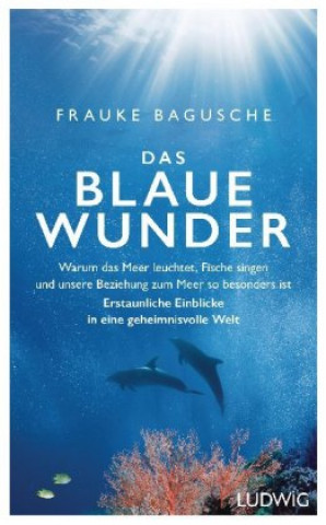 Kniha Das blaue Wunder Frauke Bagusche