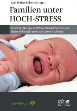 Kniha Familien unter Hoch-Stress Karl Heinz Brisch