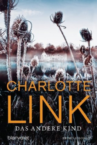 Könyv Das andere Kind Charlotte Link
