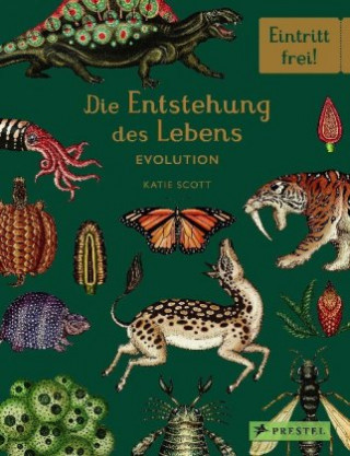 Kniha Die Entstehung des Lebens. Evolution Fiona Munro