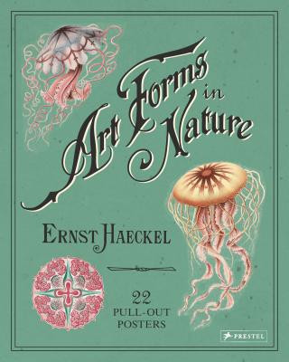 Carte Ernst Haeckel: Art Forms in Nature: 22 Pull-Out Posters Kira Uthoff