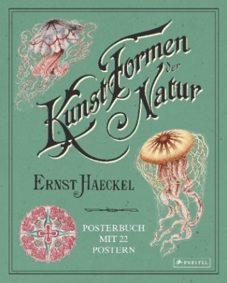 Carte Ernst Haeckel: Kunstformen der Natur. Posterbuch mit 22 Postern Kira Uthoff