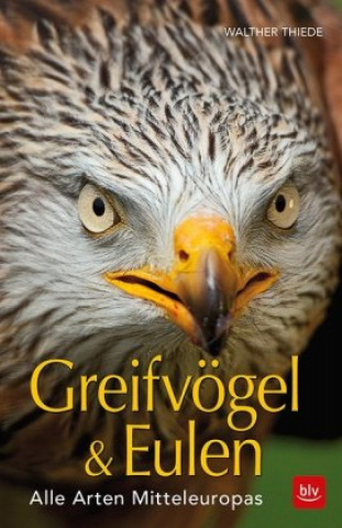 Boek BLV Greifvögel & Eulen Walther Thiede