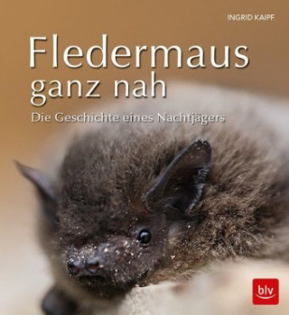 Kniha Fledermaus ganz nah Ingrid Kaipf