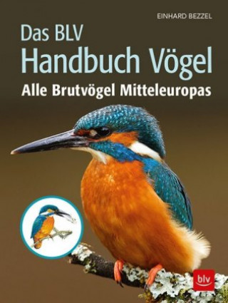 Kniha Das BLV Handbuch Vögel Einhard Bezzel