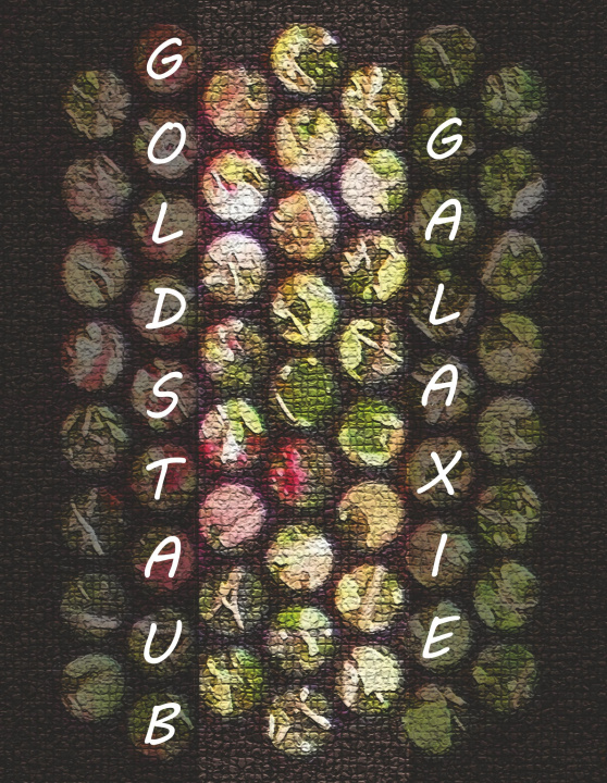 Knjiga GoldstaubGalaxie Pascal Cziborra