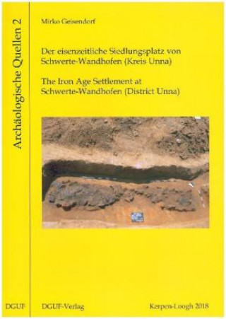 Kniha Der eisenzeitliche Siedlungsplatz von Schwerte-Wandhofen (Kreis Unna) Mirko Geisendorf