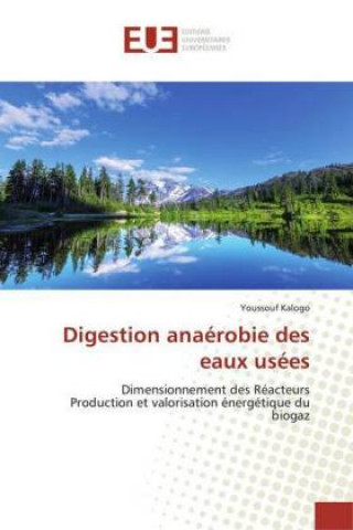 Książka Digestion anaérobie des eaux usées Youssouf Kalogo