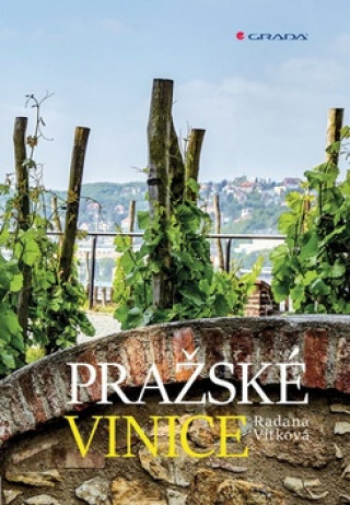 Book Pražské vinice Radana Vítková