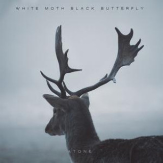 Audio Atone (Expanded Edition) White Moth Black Butterfly