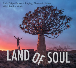 Audio Land of Soul - 2 CD Pavla Štěpničková